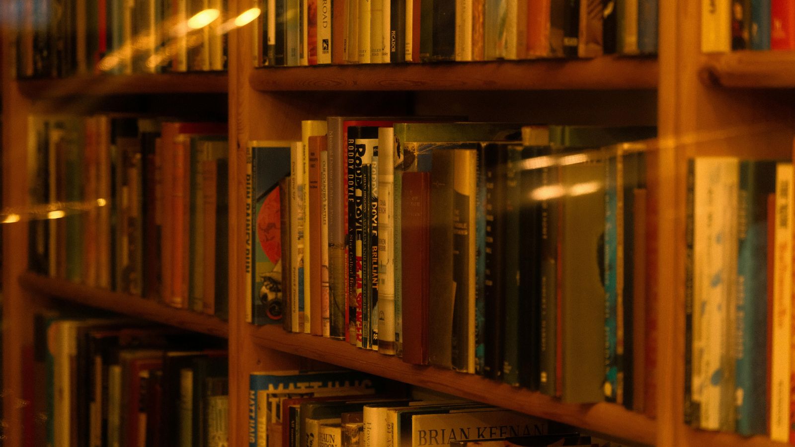 5 incredible books to read when you are feeling bored