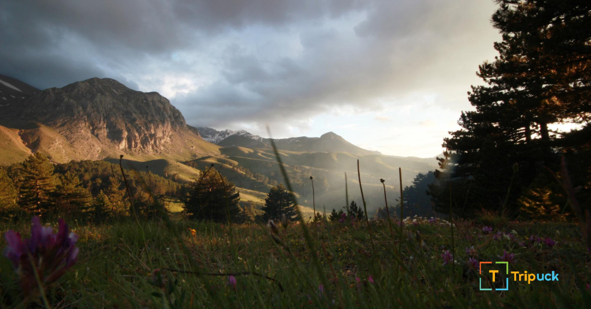 Isparta Kamp Alanları: Doğa ile Buluşma Noktaları
