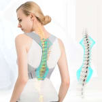 Corrector Postura Faja Soporte Lumbar Talle L alivia tu espalda