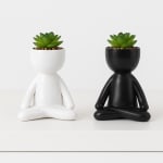 Maceta Decorativa Moderna para Hogar en Blanco o Negro