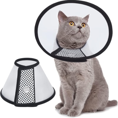 Collar Isabelino para Perros Gatos Velcro 18-22cm Ajuste Comodo