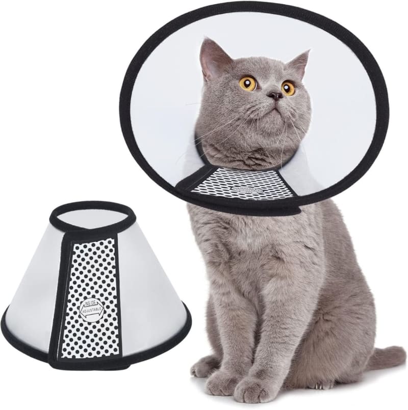 Collar Isabelino para Perros Gatos 35-43 cm, Velcro Ajustable