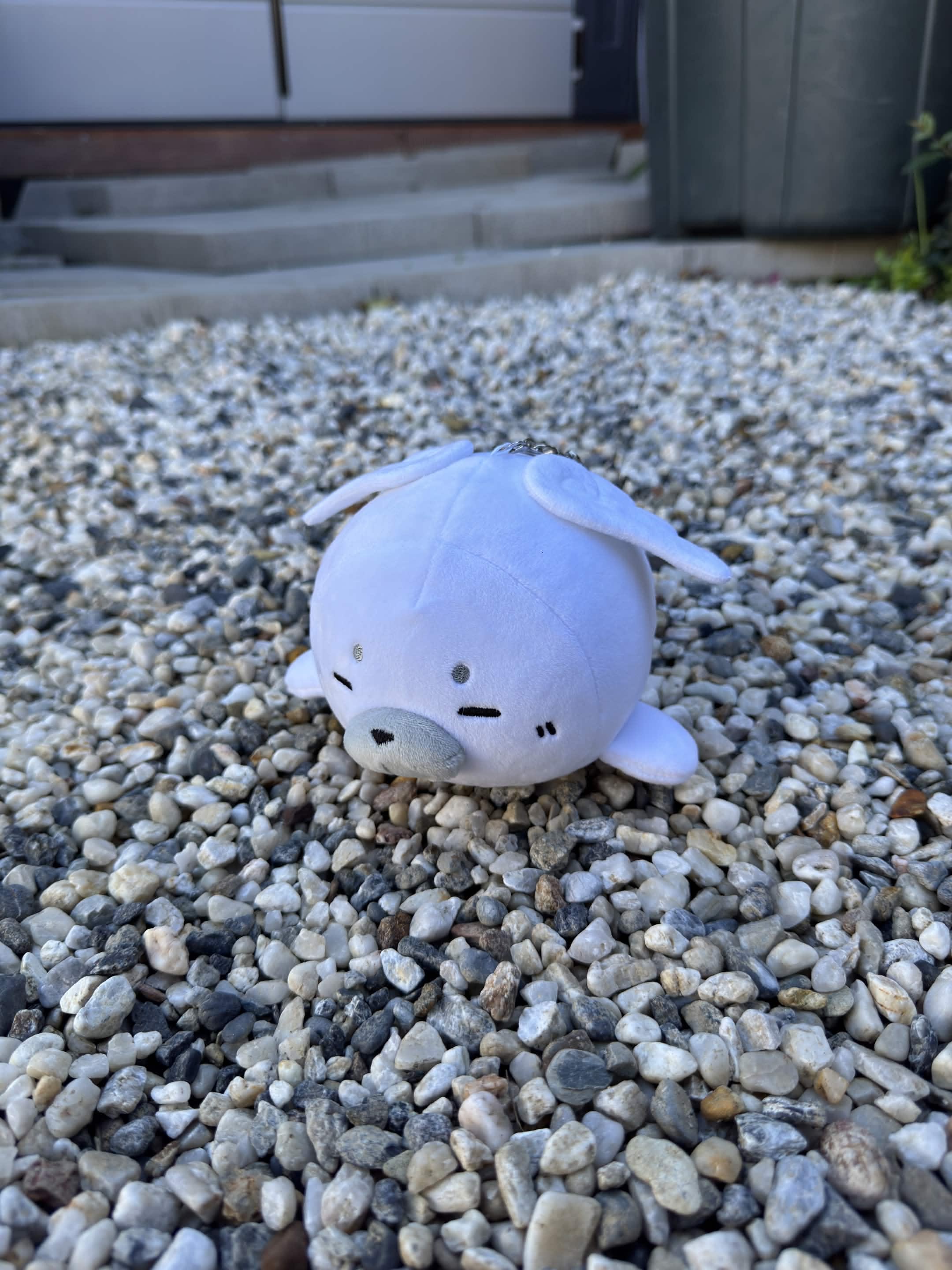 Winged Seal Plushie Design — @ssealknight