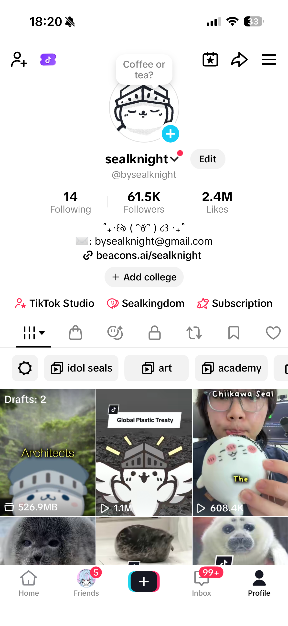 TikTok After