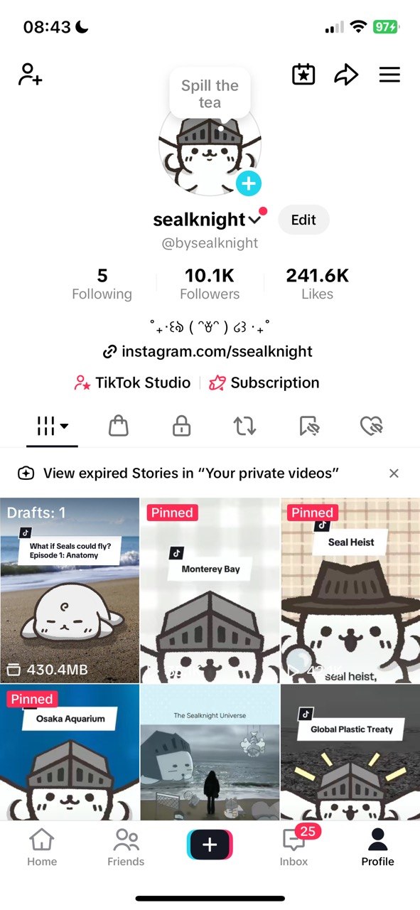TikTok Before