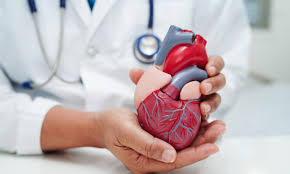Cardiology & Cardiac Surgery