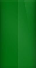 Lotus Racing Green C155 Touch Up Paint swatch