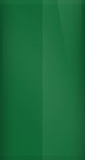Ford Holly Green L (1973) Touch Up Paint swatch