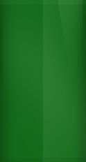BMW Evergreen 358 Touch Up Paint swatch