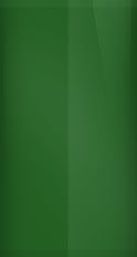 Buick Hunter Green Poly WA4233/48 Touch Up Paint swatch