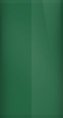 Ford Eruption Green Metallic FA Touch Up Paint swatch