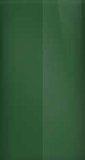 Ford Woodland Green Metallic FV/M6873 Touch Up Paint swatch