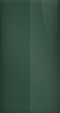 Chevrolet Dark Green WE5101/505 Touch Up Paint swatch