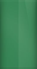 Lotus Racing Green C191 Touch Up Paint swatch