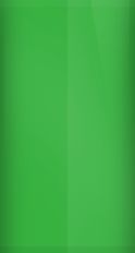 Porsche Signal Green 22S/M1 Touch Up Paint swatch
