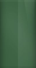 Buick Dark Green Poly WA7205/48 Touch Up Paint swatch