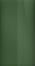 Jaguar Dark Green Pearl 1945/HGP Touch Up Paint swatch
