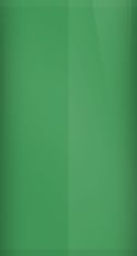 Dodge Deep Forest Hunter Green Effect PG8/SG8/G8 Touch Up Paint swatch