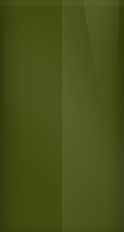 Pontiac Verdoro Green Metallic 73 (1969) Touch Up Paint swatch