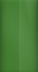 Triumph Laurel Green 55 Touch Up Paint swatch