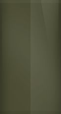 Ford Shelter Green Metallic DB Touch Up Paint swatch