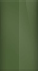 Buick Dark Yellow Green Metallic WA9806/48 Touch Up Paint swatch