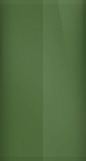 Mercury Dark Ivy Green Irid C (1969) Touch Up Paint swatch