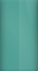 Ford Medium Calypso Green Metallic PL/M6600 Touch Up Paint swatch
