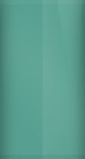 Ford Calypso Green Metallic PT/M6801 Touch Up Paint swatch