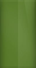 Mazda New Green 24V Touch Up Paint swatch