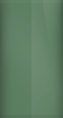 Buick Dark Jadestone Metallic WA7207/47 Touch Up Paint swatch
