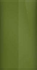 BMW Cedar Green (Zenderngrun) 141 Touch Up Paint swatch