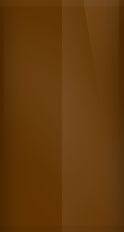 Lotus Sienna Brown C151 Touch Up Paint swatch