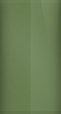 Oldsmobile Forest Green Poly 49 (1975) Touch Up Paint swatch