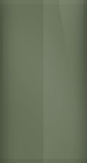 Ford Dark Yellow Green Poly 4-V (1975) Touch Up Paint swatch