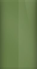 Dodge Dark Green Irid F-8 (1969) Touch Up Paint swatch