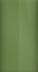 Pontiac Pepper Green Irid 48 (1970) Touch Up Paint swatch