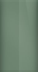 Pontiac Medium Gray Fern Metallic 43/WA8333 Touch Up Paint swatch