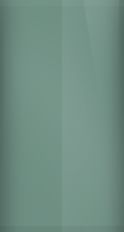 Mercury Light Pine Green Metallic D9/M6809 Touch Up Paint swatch