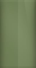 Porsche Malachite Green Metallic 2B5/H1 Touch Up Paint swatch