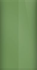 Subaru Evergreen Metallic 55M Touch Up Paint swatch