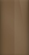 Jaguar Carriage Brown 262/ADJ/ADS Touch Up Paint swatch