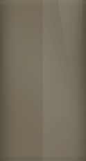 Lexus Dark Taupe Metallic UCA78 Touch Up Paint swatch