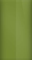 Chevrolet Jungle Green Metallic G6P/WA423Y Touch Up Paint swatch