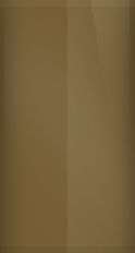 Ford Pecan  BT6 Touch Up Paint swatch