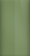 Nissan Tank Green D12 Touch Up Paint swatch