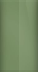 Mercury Moss Green Pearl P6 Touch Up Paint swatch