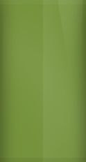 Subaru Autumn Green Metallic TAP Touch Up Paint swatch