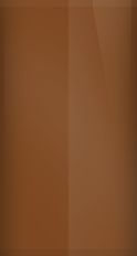 Nissan Nutmeg Metallic CS2 Touch Up Paint swatch