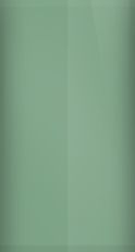 Toyota Rustic Green 621 Touch Up Paint swatch